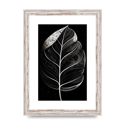 Rubber Plant Leaf in Black and White