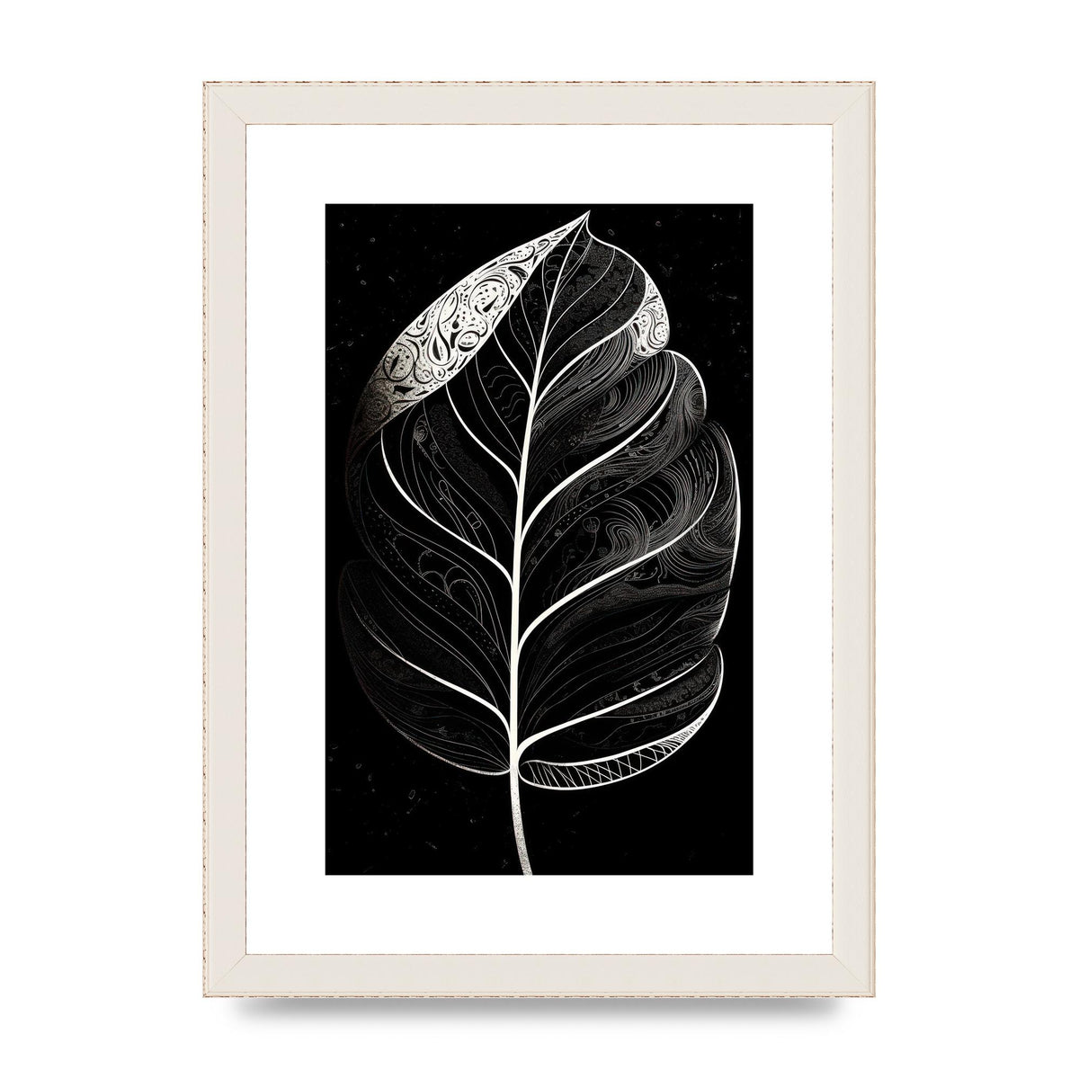Rubber Plant Leaf in Black and White