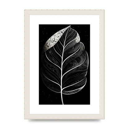 Rubber Plant Leaf in Black and White