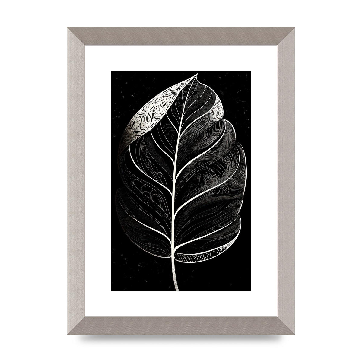 Rubber Plant Leaf in Black and White