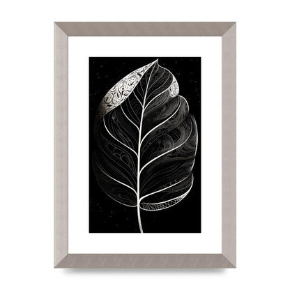 Rubber Plant Leaf in Black and White
