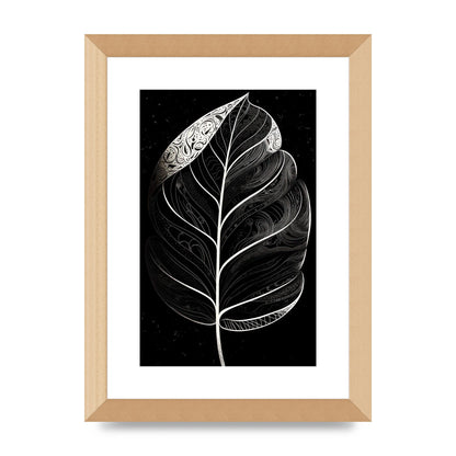 Rubber Plant Leaf in Black and White