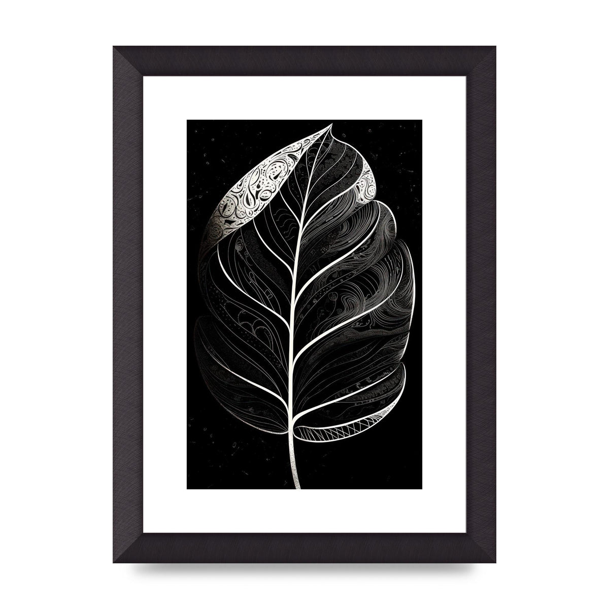 Rubber Plant Leaf in Black and White