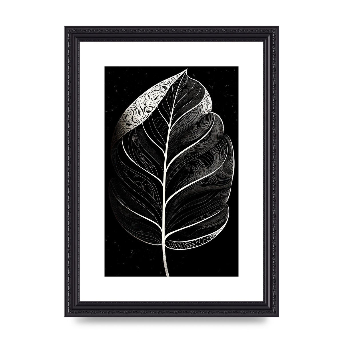 Rubber Plant Leaf in Black and White
