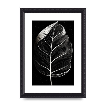 Rubber Plant Leaf in Black and White