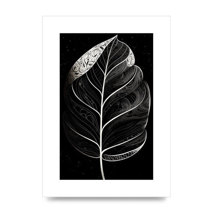 Rubber Plant Leaf in Black and White