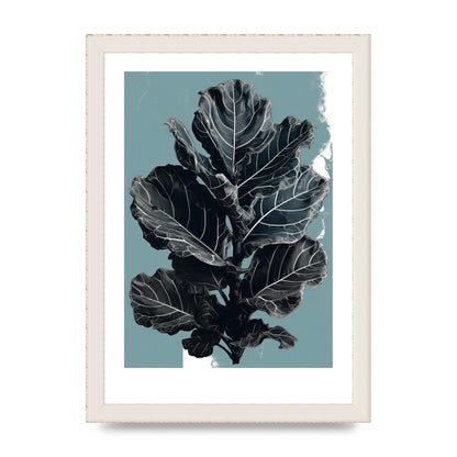 Fiddle Leaf Fig in 2D Risograph