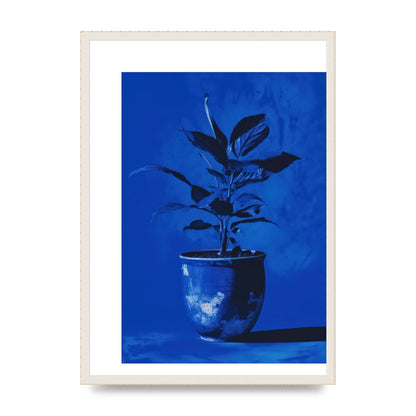 Abstract Plant on Yves Klein Blue