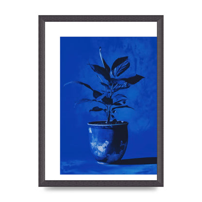 Abstract Plant on Yves Klein Blue