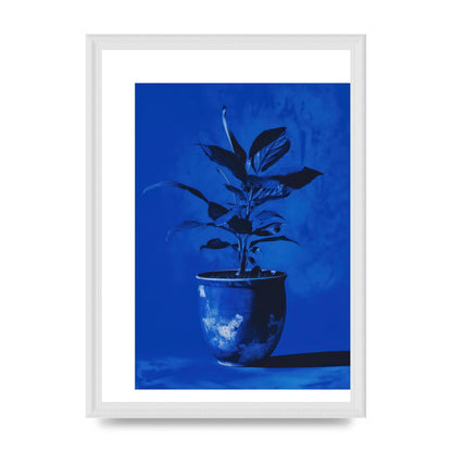 Abstract Plant on Yves Klein Blue