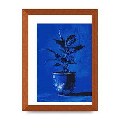 Abstract Plant on Yves Klein Blue