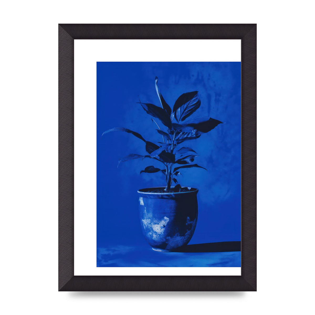 Abstract Plant on Yves Klein Blue