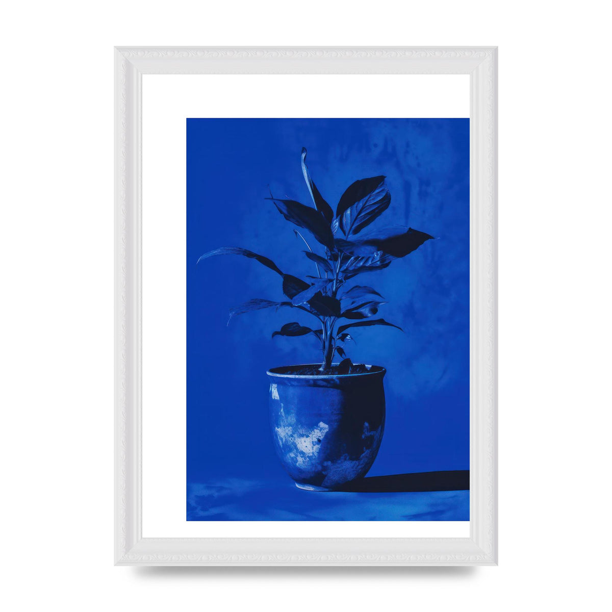 Abstract Plant on Yves Klein Blue