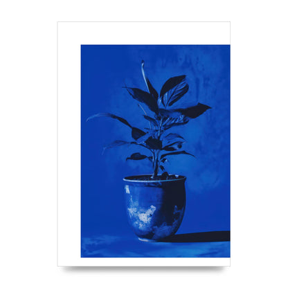 Abstract Plant on Yves Klein Blue