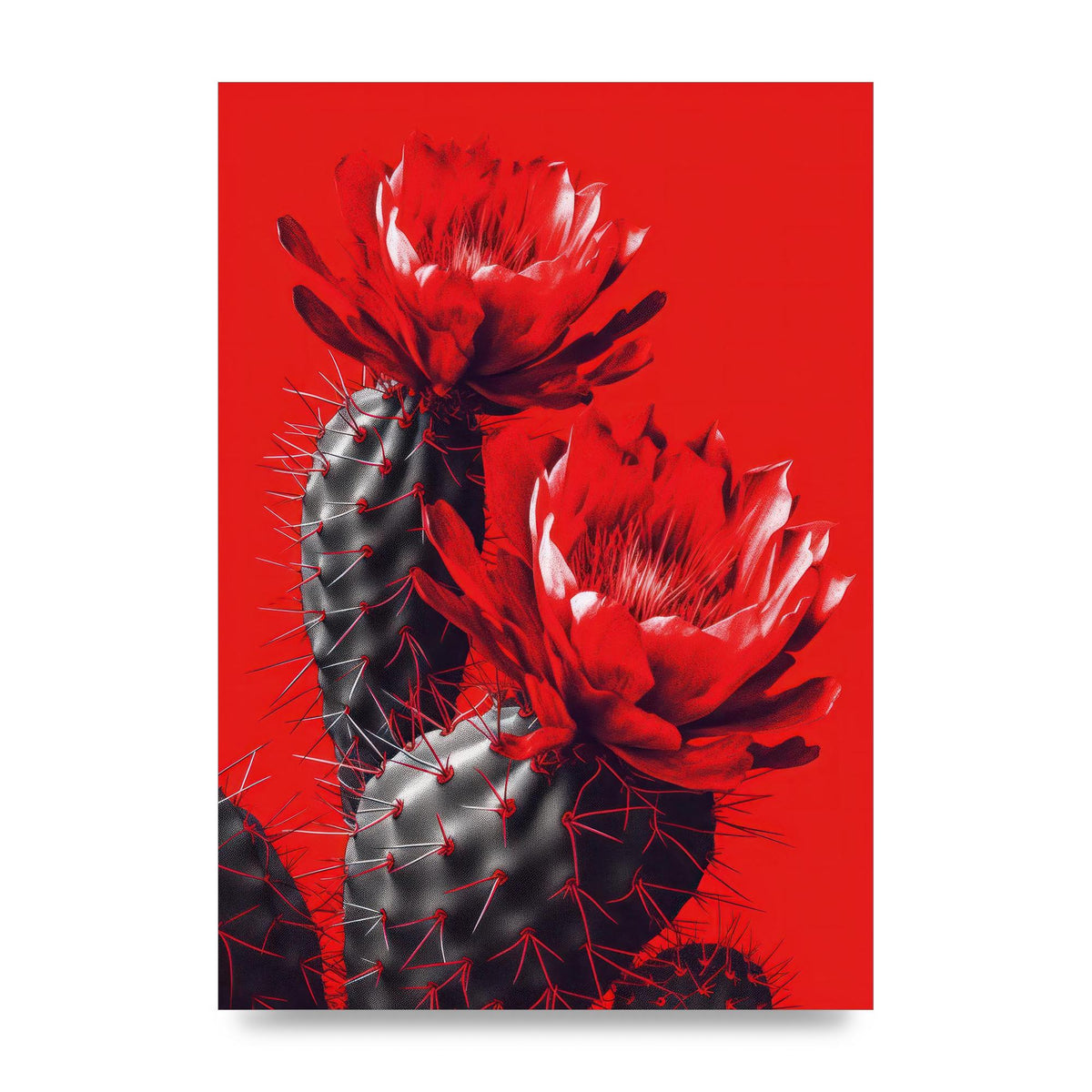 Minimalistic Cactus on Bold Red