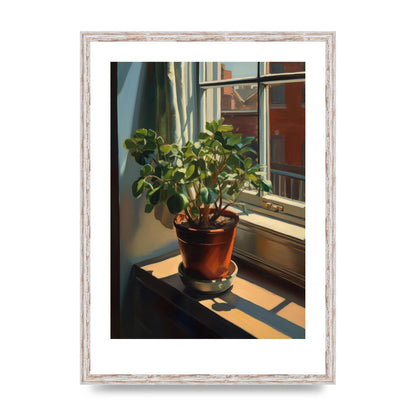 Sun-Kissed Flowering Plant Shadows