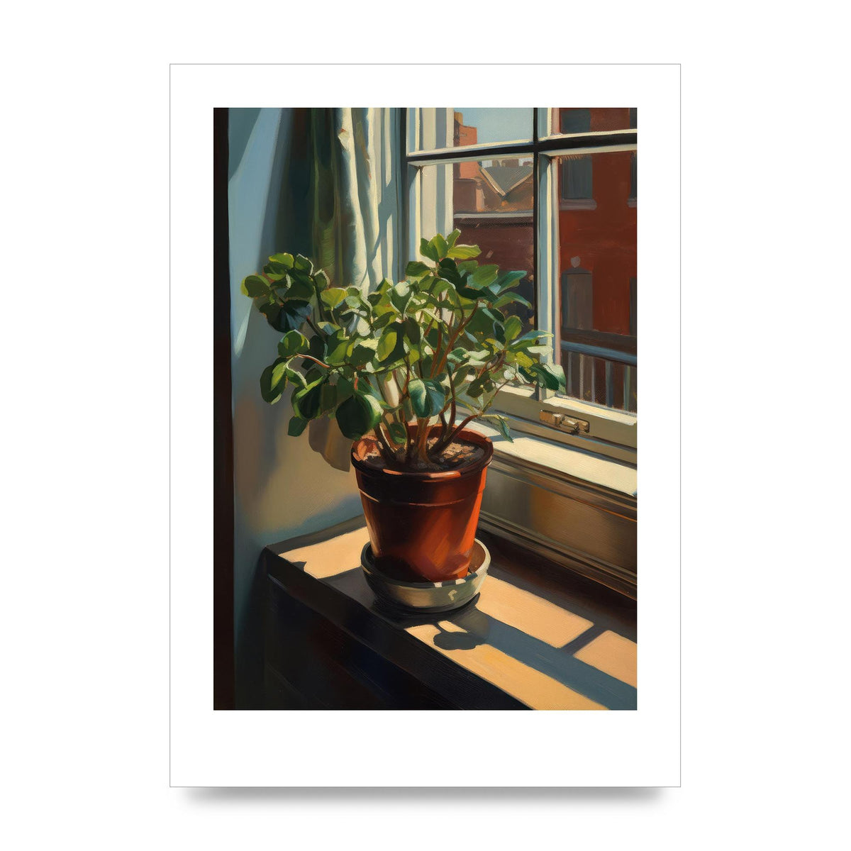 Sun-Kissed Flowering Plant Shadows