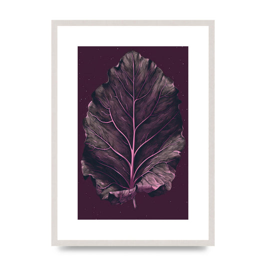 Fiddle Leaf Fig Leaf on Plum Backdrop