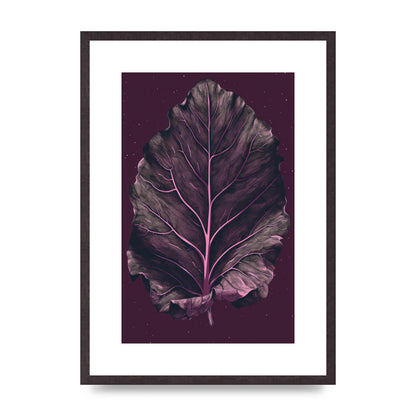 Fiddle Leaf Fig Leaf on Plum Backdrop