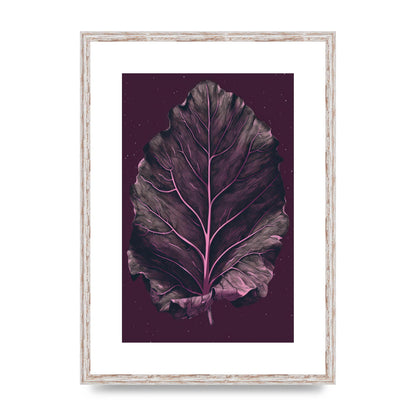 Fiddle Leaf Fig Leaf on Plum Backdrop