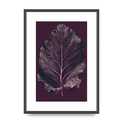 Fiddle Leaf Fig Leaf on Plum Backdrop