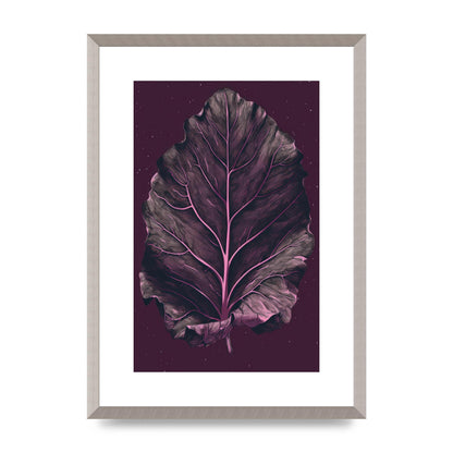 Fiddle Leaf Fig Leaf on Plum Backdrop