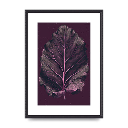 Fiddle Leaf Fig Leaf on Plum Backdrop
