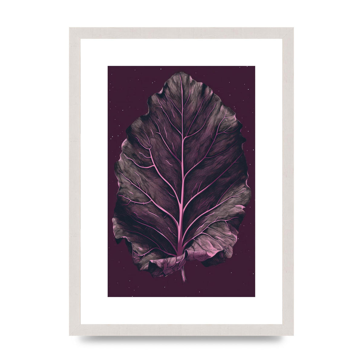 Fiddle Leaf Fig Leaf on Plum Backdrop