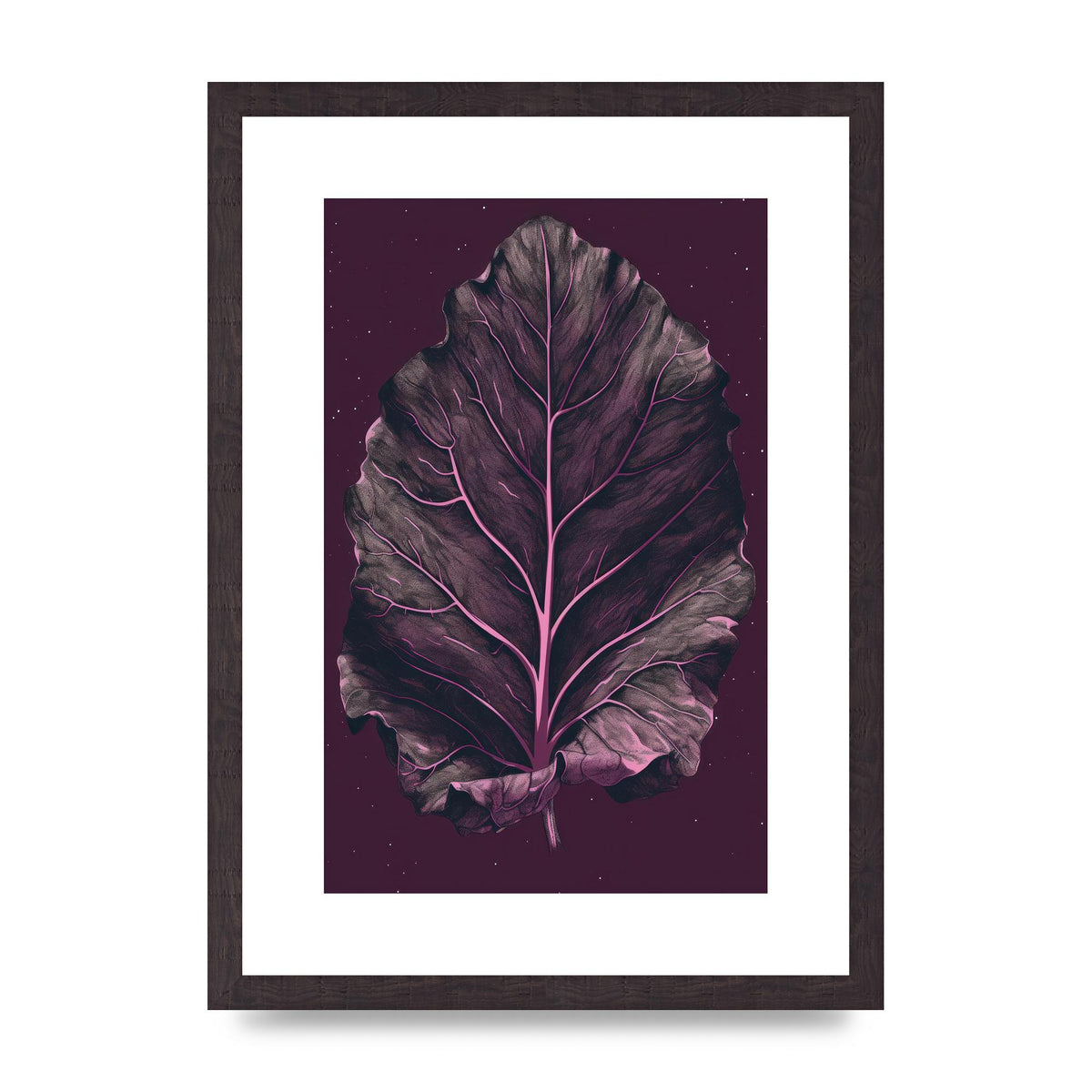 Fiddle Leaf Fig Leaf on Plum Backdrop