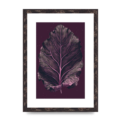Fiddle Leaf Fig Leaf on Plum Backdrop