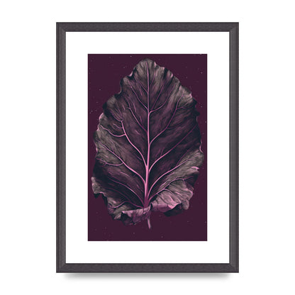 Fiddle Leaf Fig Leaf on Plum Backdrop