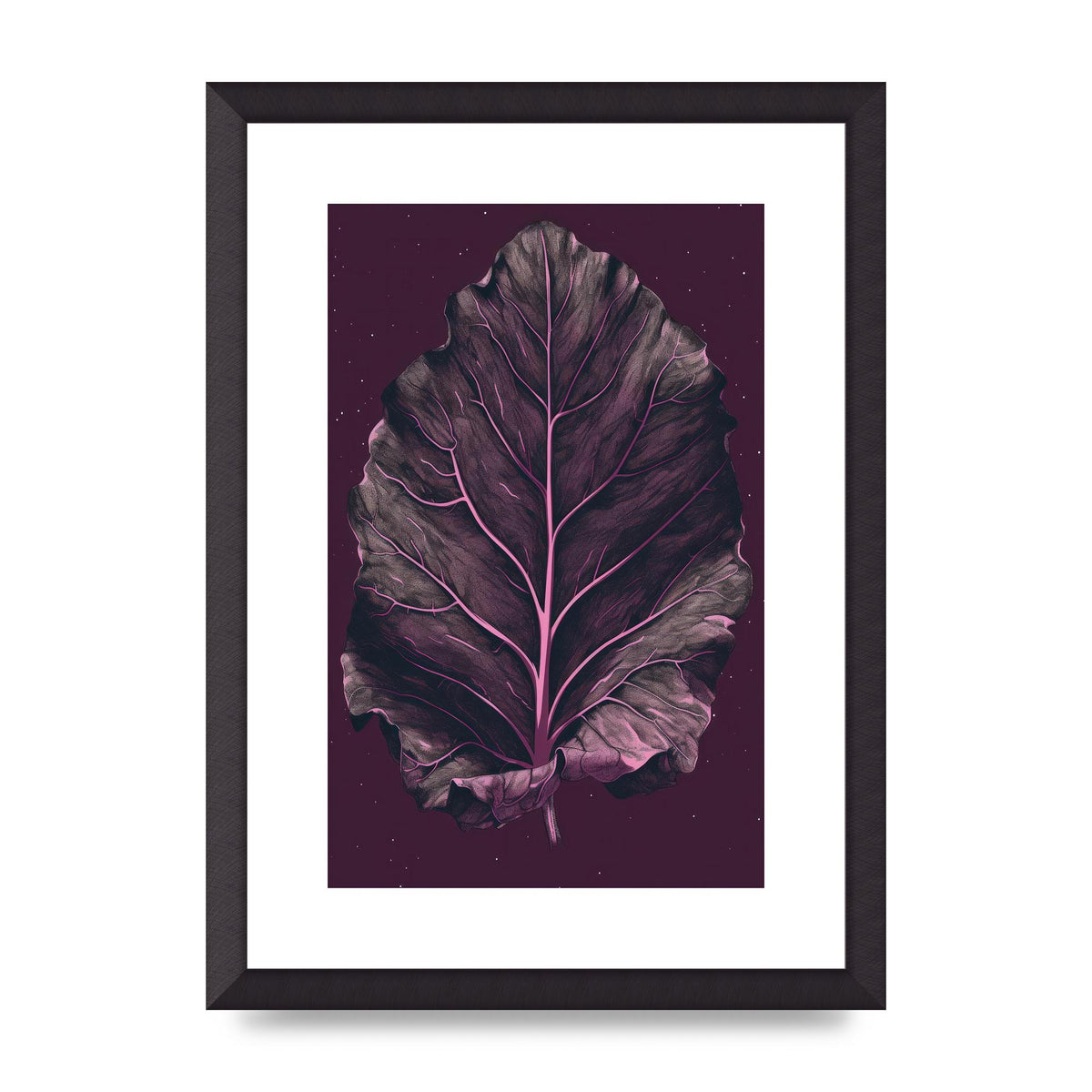 Fiddle Leaf Fig Leaf on Plum Backdrop