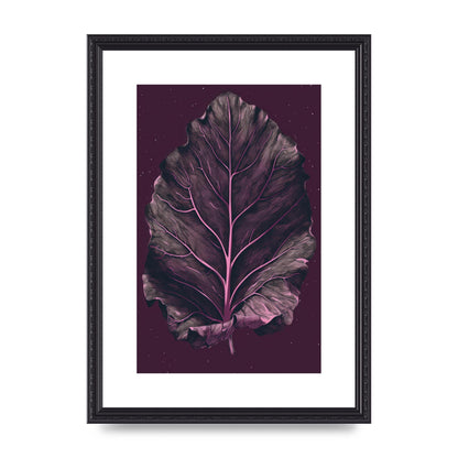 Fiddle Leaf Fig Leaf on Plum Backdrop