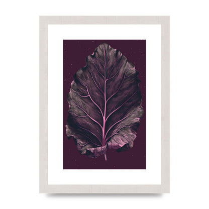 Fiddle Leaf Fig Leaf on Plum Backdrop