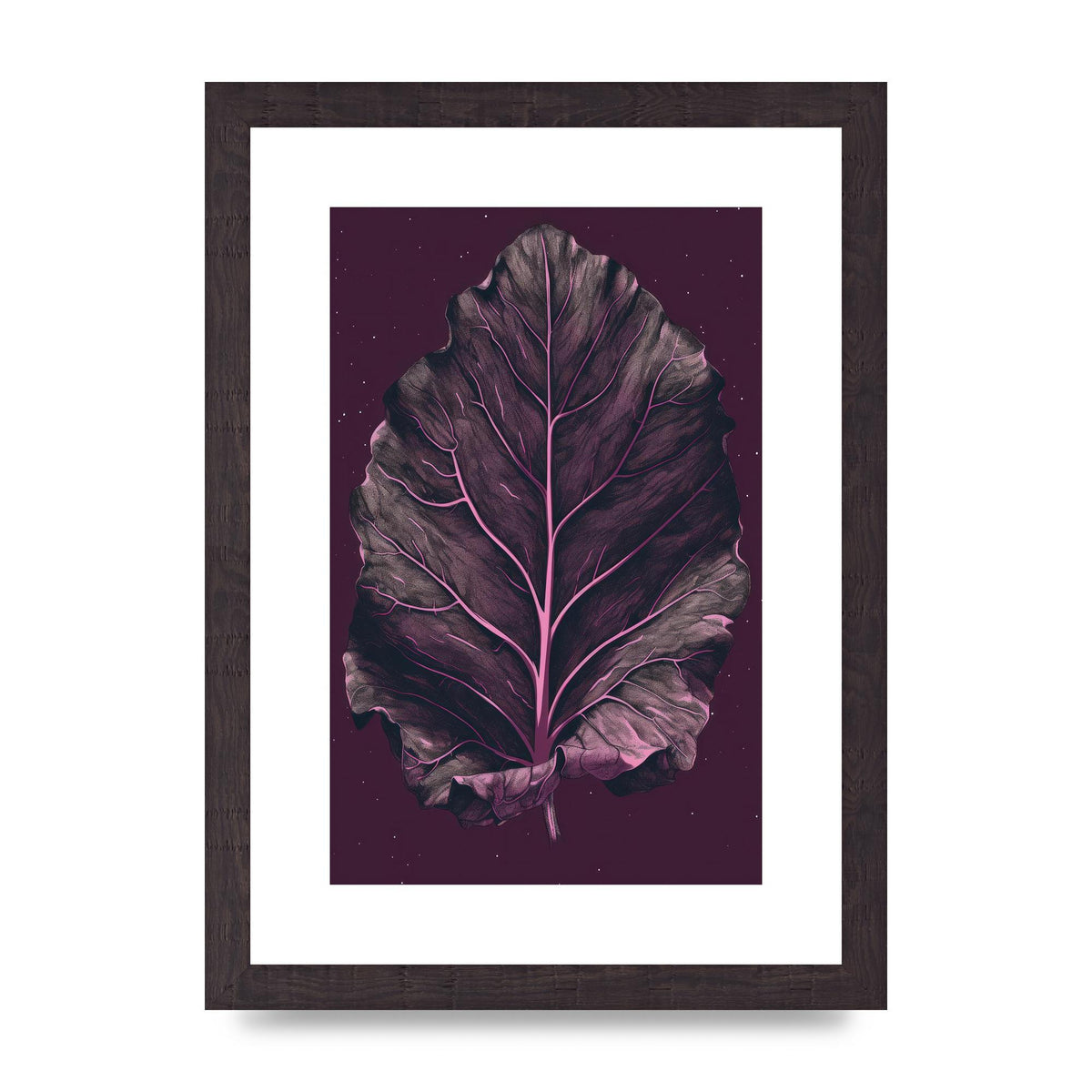Fiddle Leaf Fig Leaf on Plum Backdrop