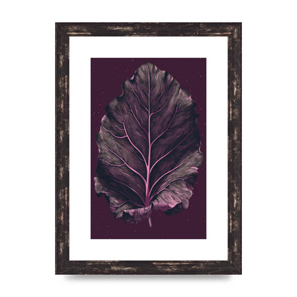 Fiddle Leaf Fig Leaf on Plum Backdrop