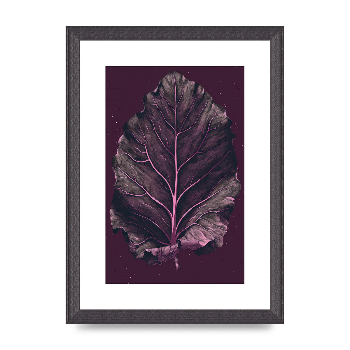 Fiddle Leaf Fig Leaf on Plum Backdrop