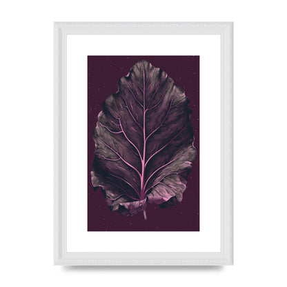 Fiddle Leaf Fig Leaf on Plum Backdrop