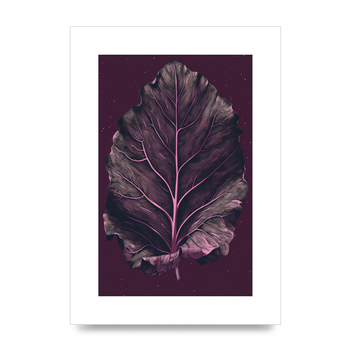 Fiddle Leaf Fig Leaf on Plum Backdrop