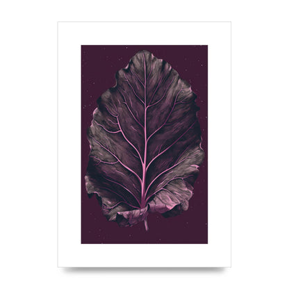 Fiddle Leaf Fig Leaf on Plum Backdrop