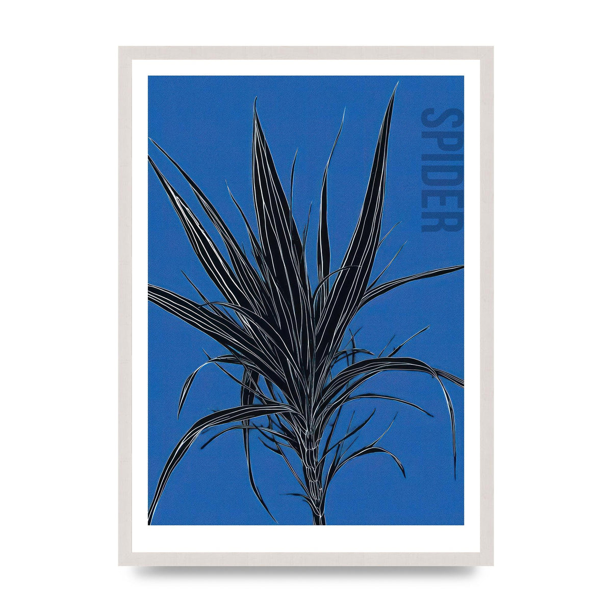 Detailed Spider Plant in Blue
