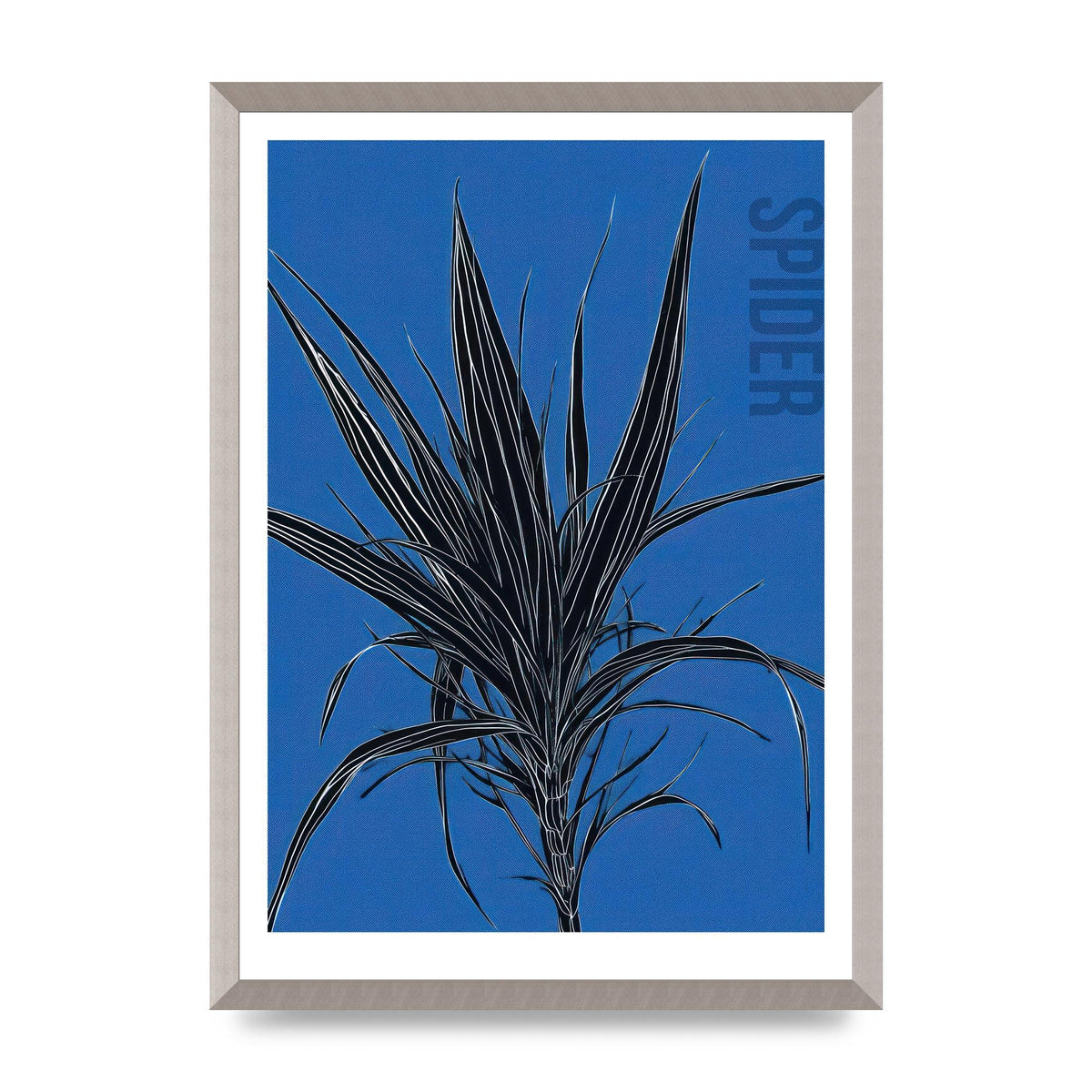 Detailed Spider Plant in Blue