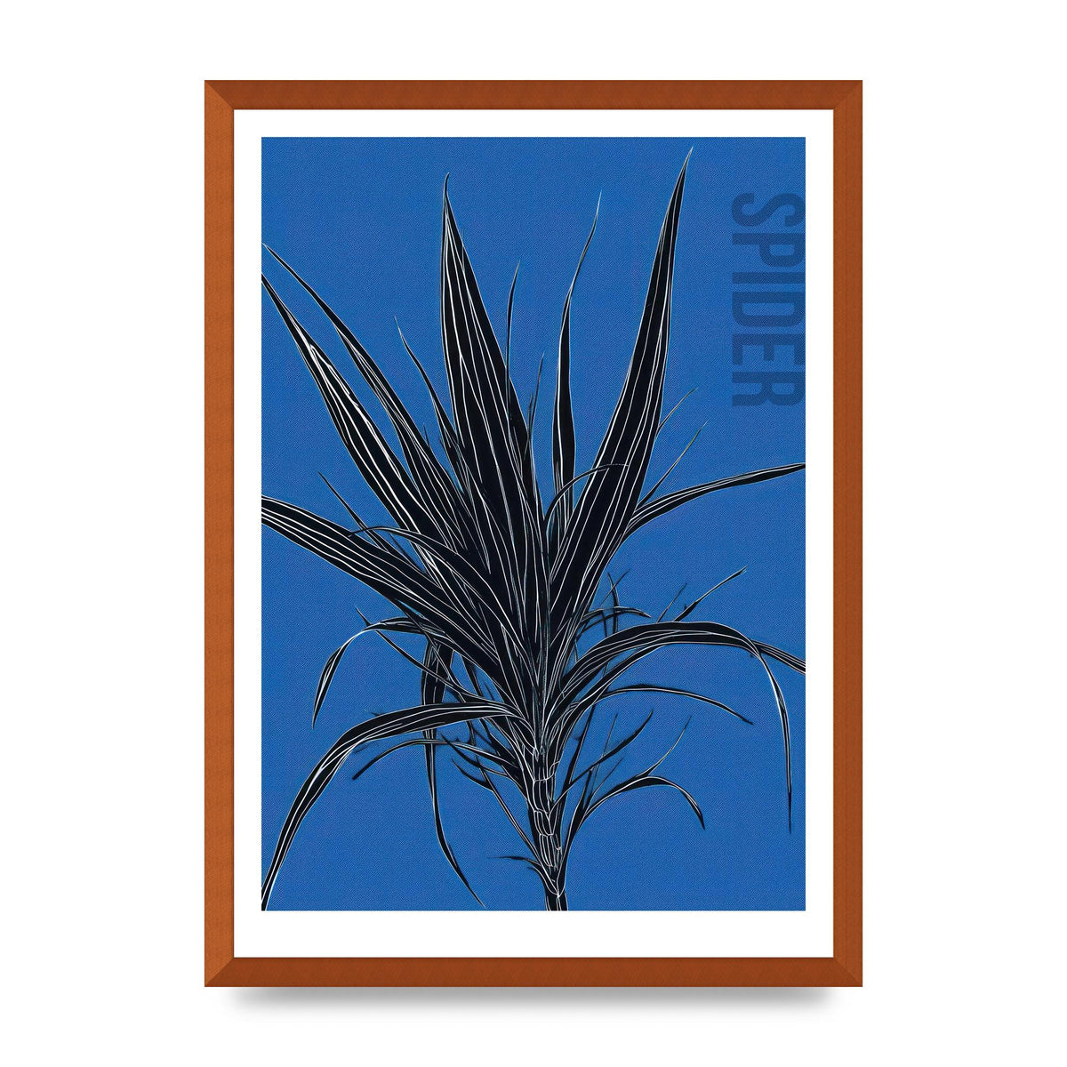 Detailed Spider Plant in Blue