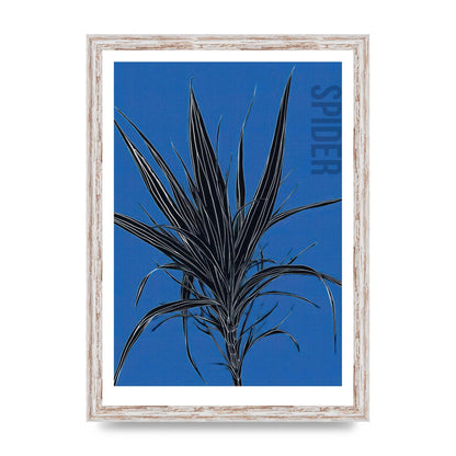 Detailed Spider Plant in Blue