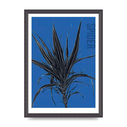 Detailed Spider Plant in Blue