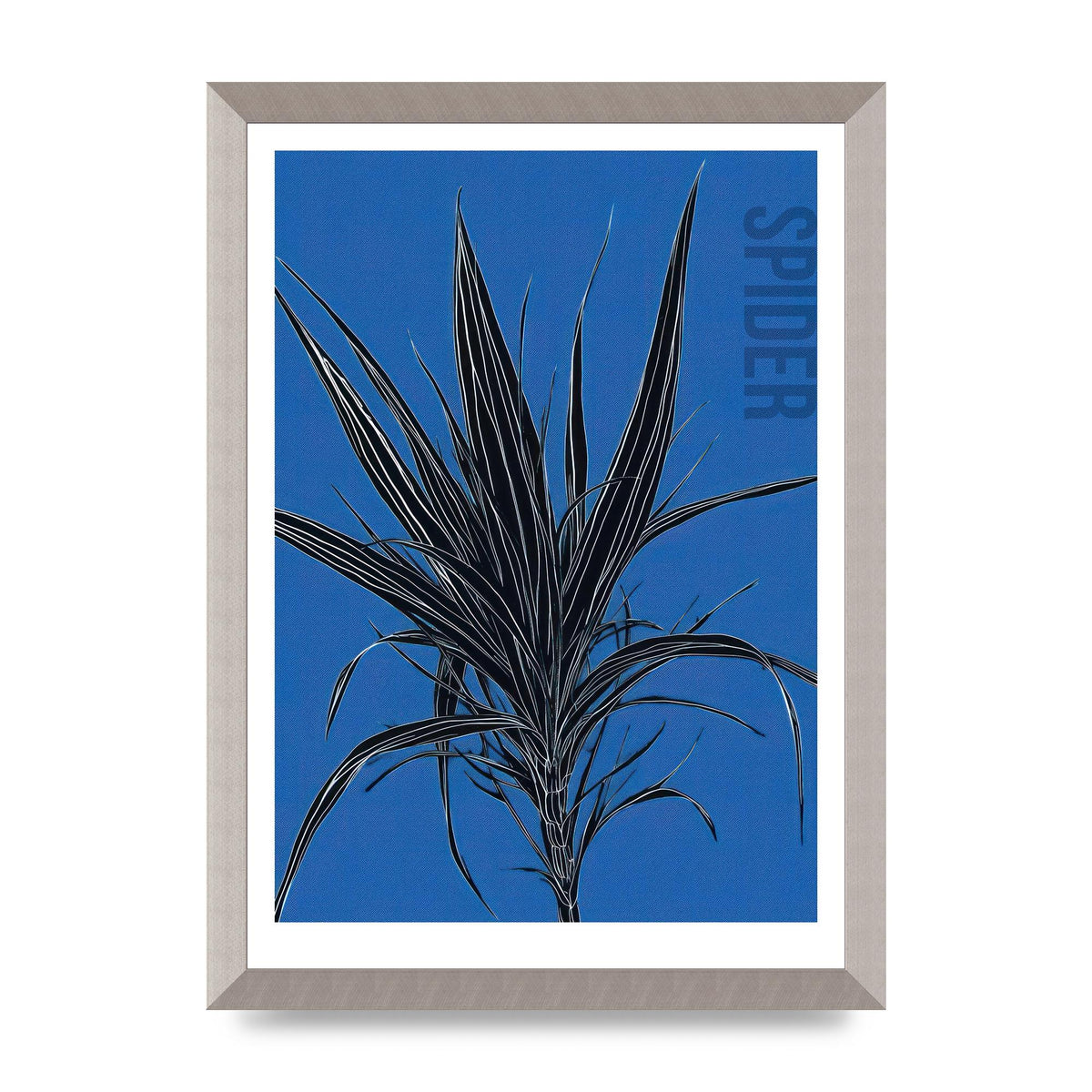 Detailed Spider Plant in Blue