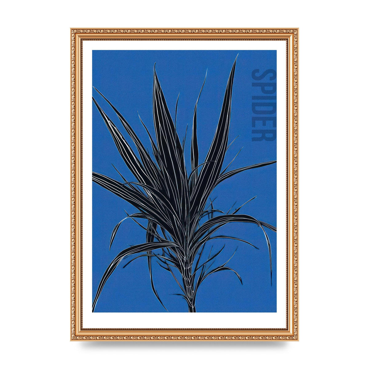 Detailed Spider Plant in Blue