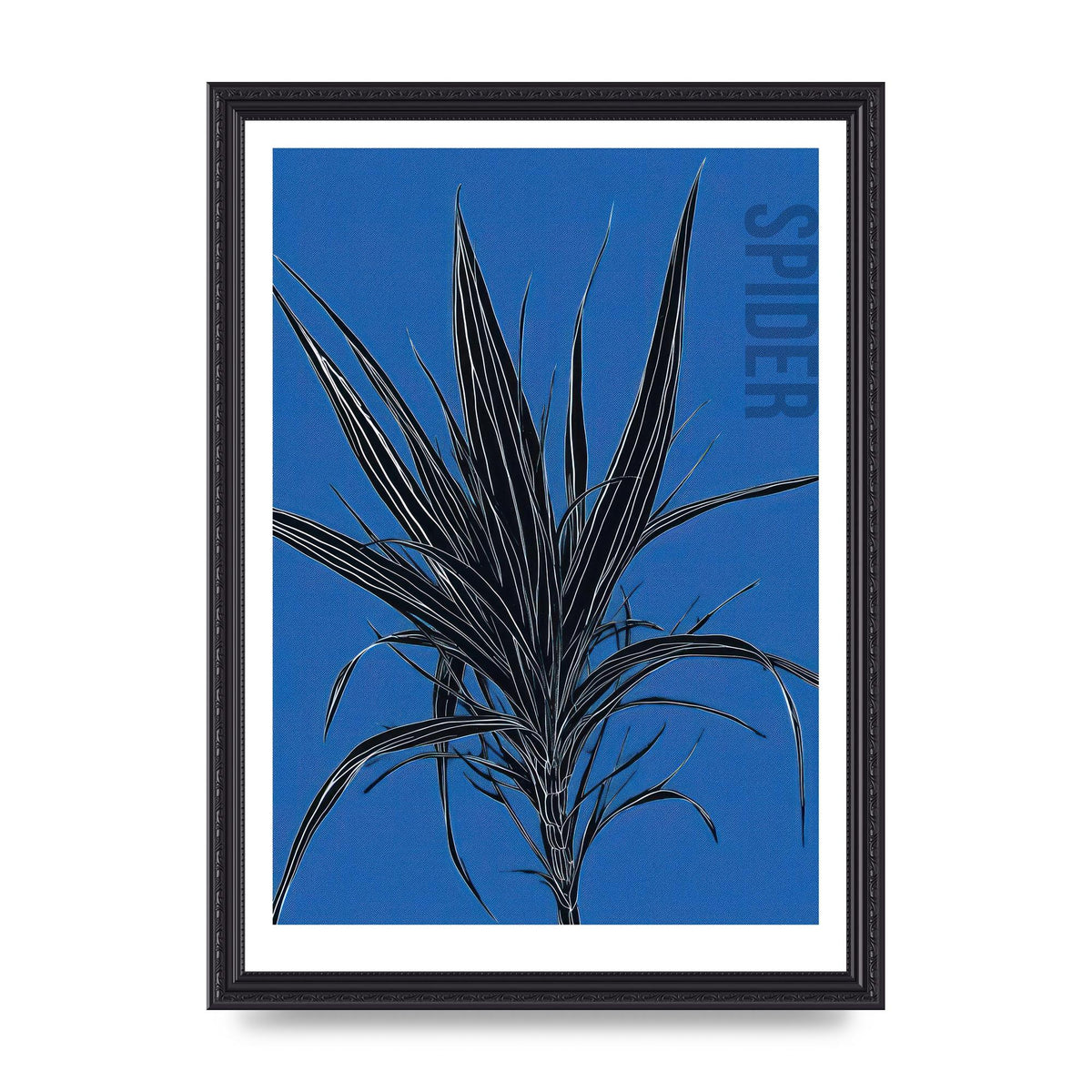 Detailed Spider Plant in Blue