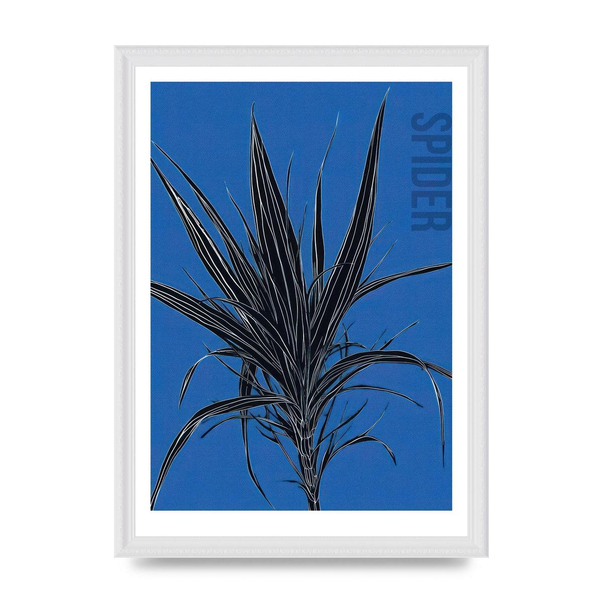 Detailed Spider Plant in Blue