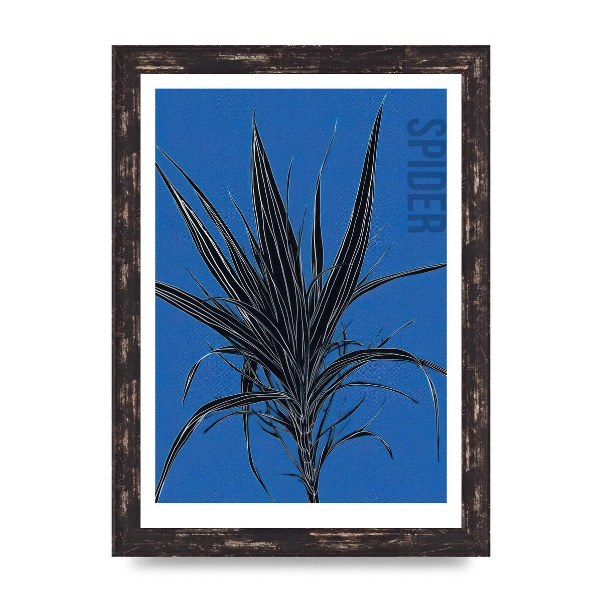 Detailed Spider Plant in Blue